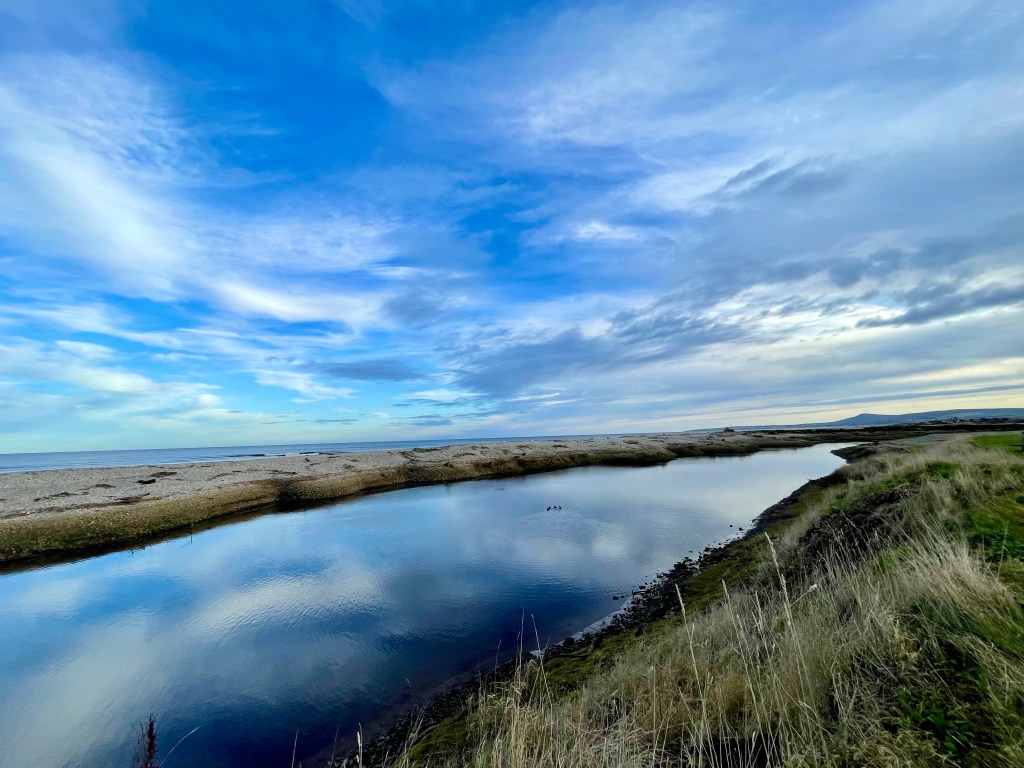 Estuary area at Kingston 