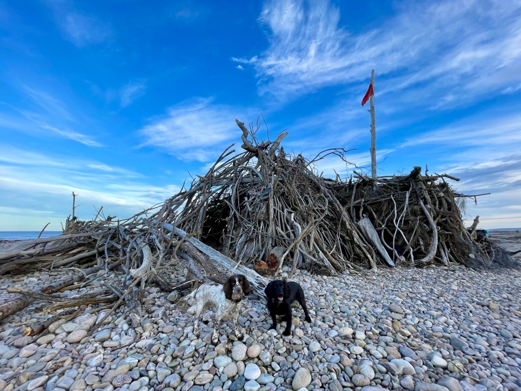 Large beach hut made with drift wood 
