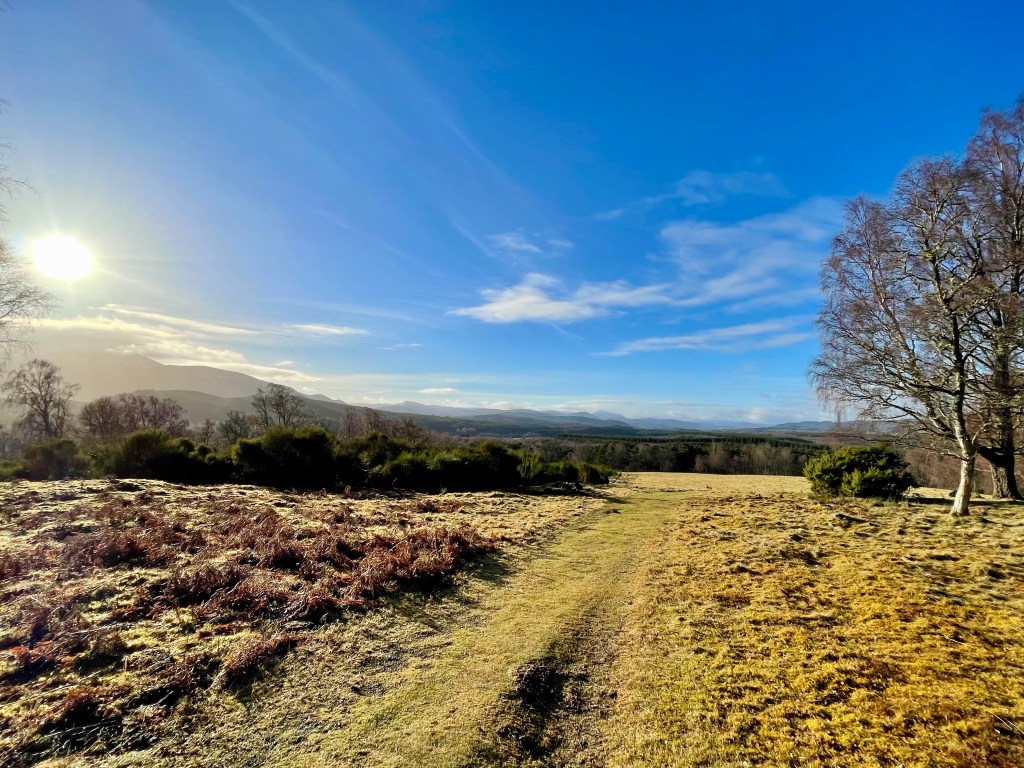 Track with view of mountain and blues skies 