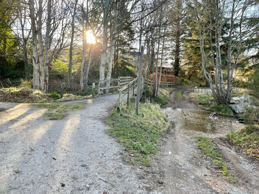 Footbridge over the ford, with trees and sun shining through 