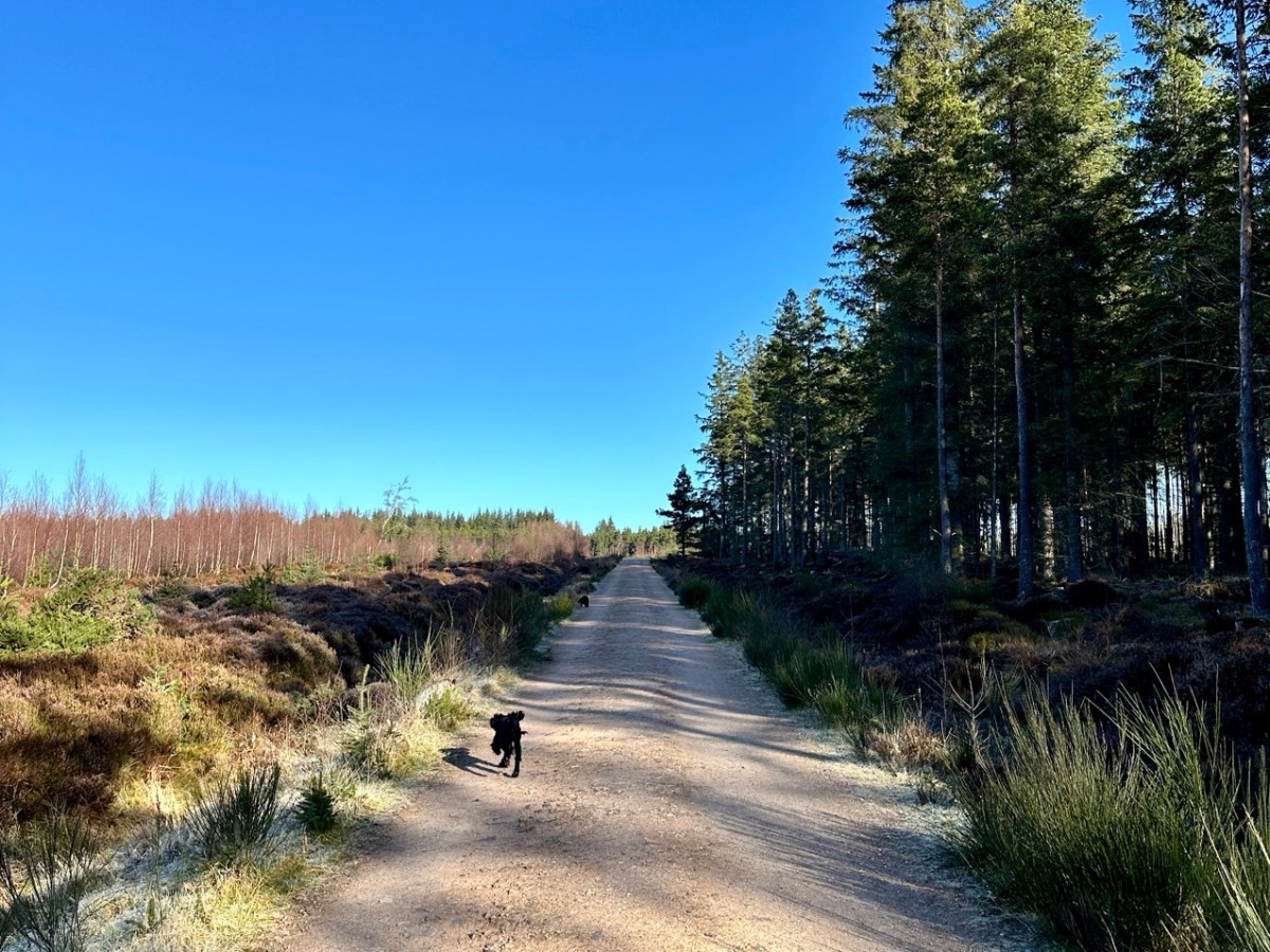 Cairn Cattoch, Archiestown